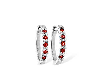A209-04531: EARR .24 RUBY .30 TGW