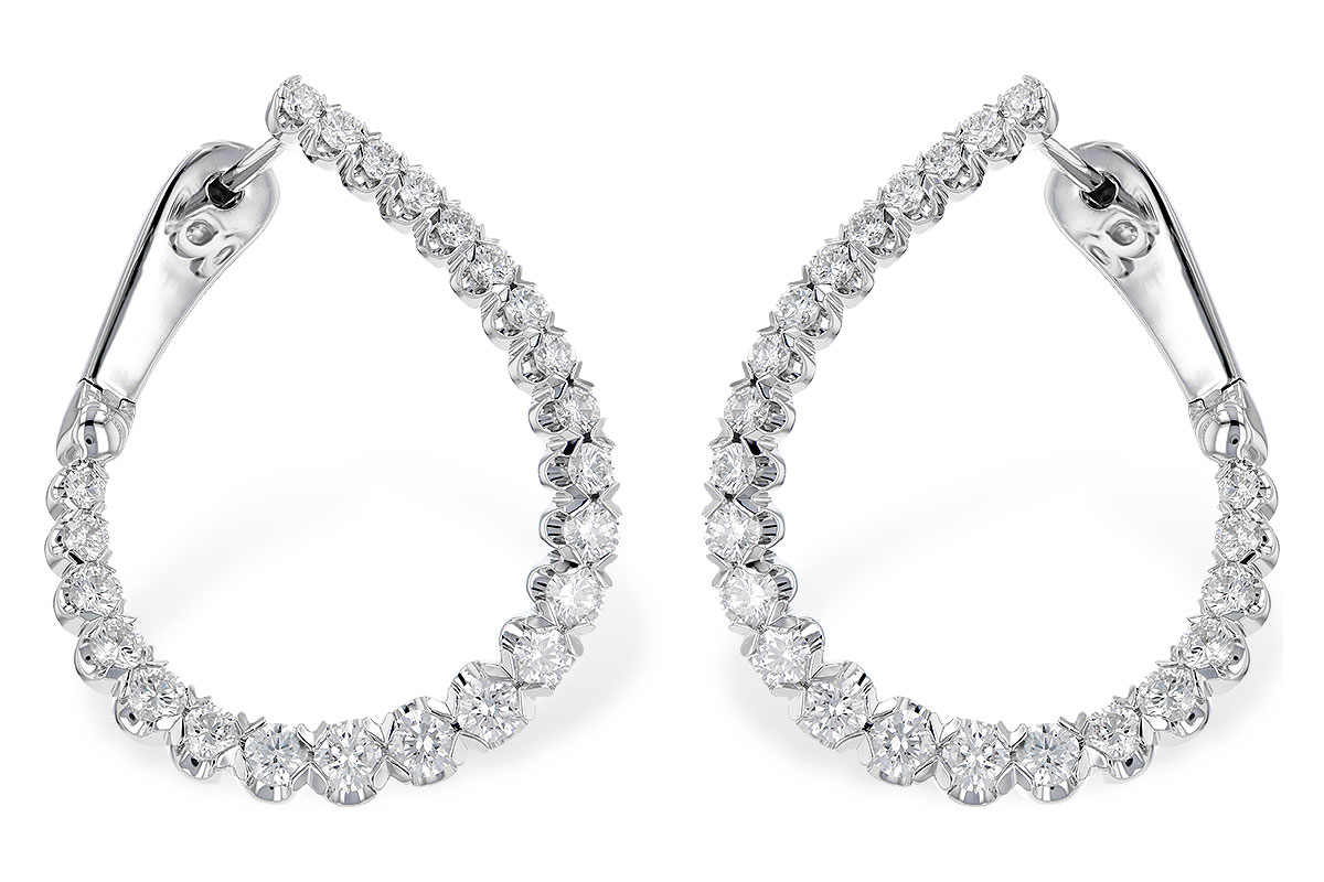 C291-79004: EARR 2.00 TW