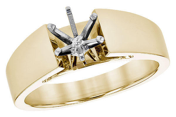C291-79995: LDS SEMI RG