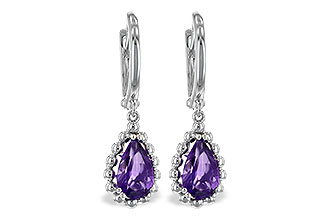 D208-13613: EARR AMY 1.40 TW