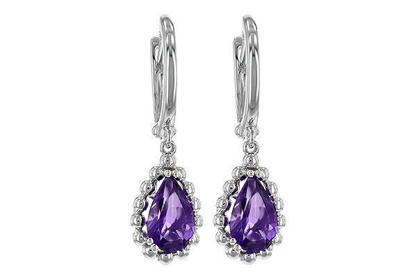 D208-13613: EARR AMY 1.40 TW