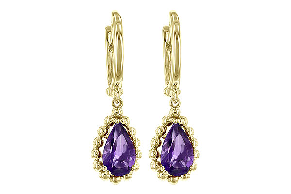 D208-13613: EARR AMY 1.40 TW