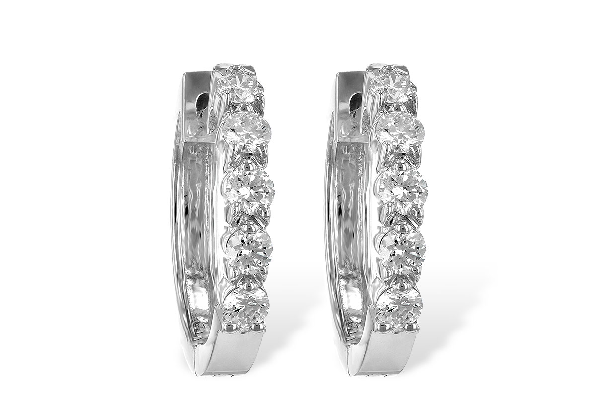 E204-49013: EARRINGS .50 TW