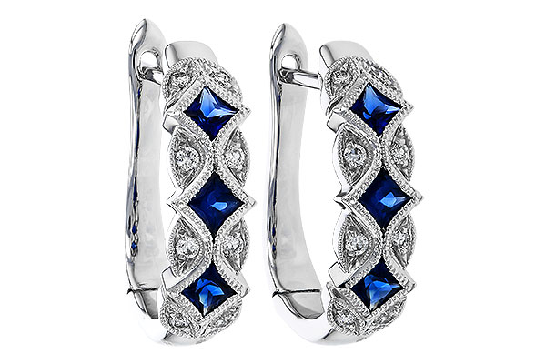 E293-61731: EARR .75 SAPP .87 TGW