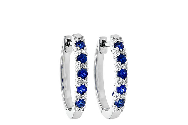 G209-04513: EARR .45 SAPP .55 TGW