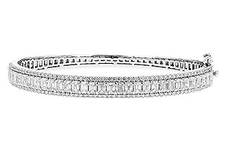 G292-65431: BANGLE 4.19 E.C. 5.30 TW