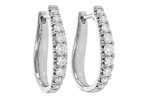 K209-03612: EARR 1.00 TW