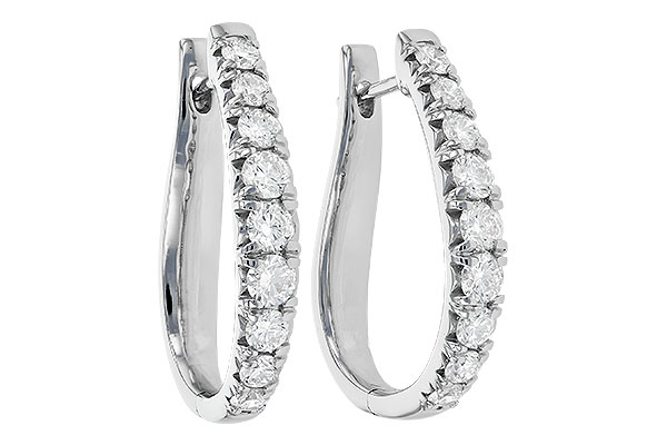 K209-05412: EARR 2.00 TW