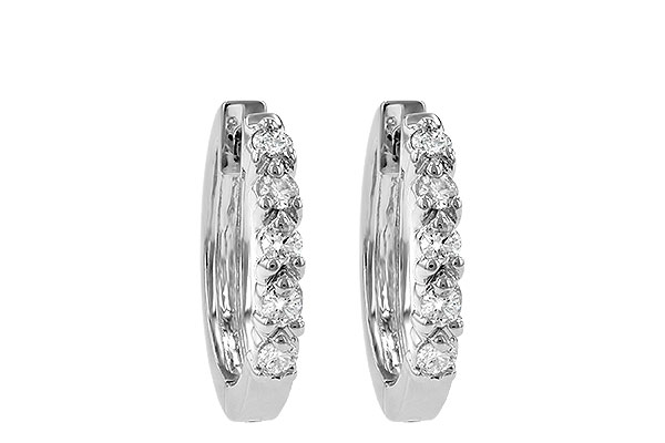 L019-94467: EARRINGS .25 TW