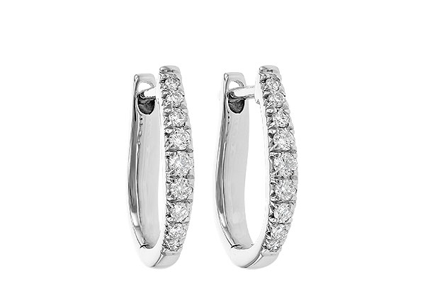L209-03612: EARR .25 TW