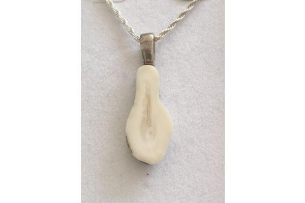 Z019-02694: Elk Ivory Slice